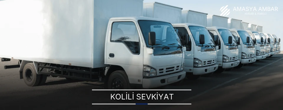 Amasya Kolili Sevkiyat Ambar Firmaları